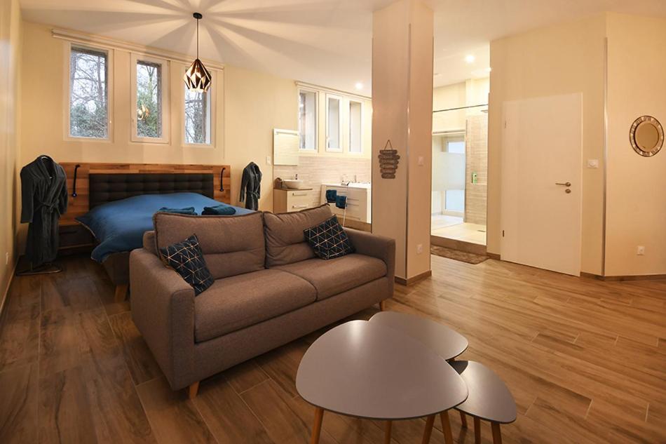Ravissant Loft avec jacuzzi pour séjours détente Strasburgo Esterno foto